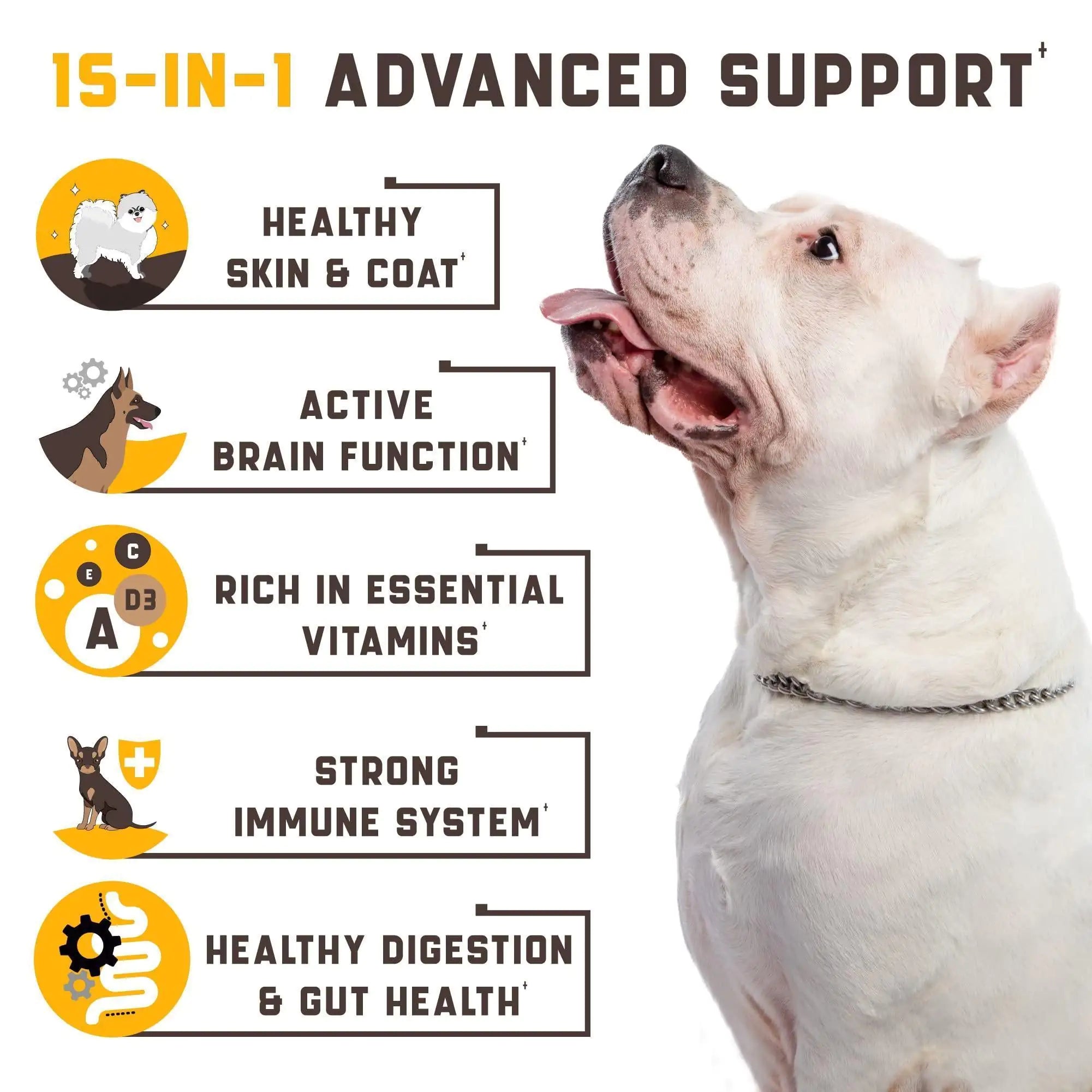 15 in 1 Dog Multivitamin Supplement