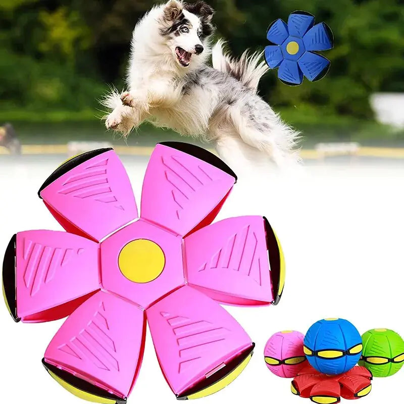 Orbix Pet Ball Toy