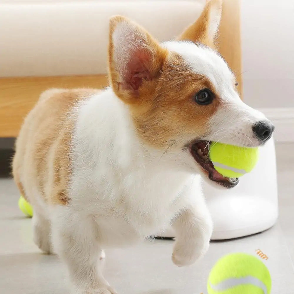 Automatic Interactive Dog Ball Thrower Toy