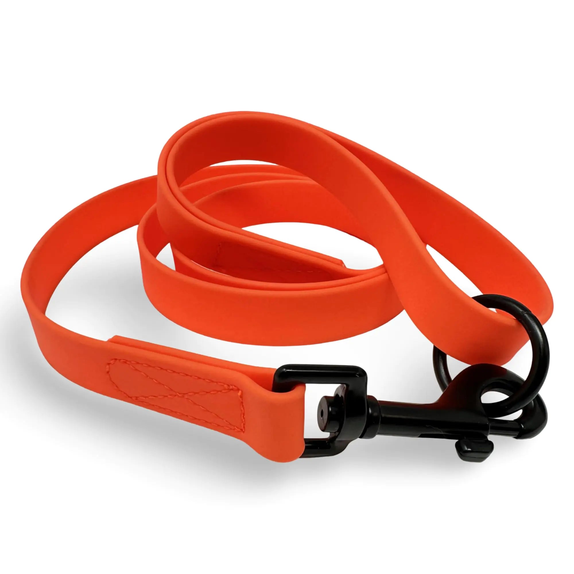 Waterproof Daily Dog Leash